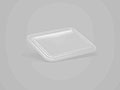 9.29 x 7.28 x 0.51 Inch (in) Size Rectangle Polyethylene Terephthalate (PETE) Food Packaging Container (600161)